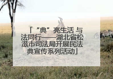 “典”亮生活 与法同行——湖北省松滋市司法局开展民法典宣传系列活动